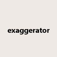 exaggerator是什么意思