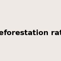deforestation rate是什么意思