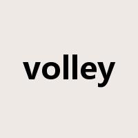 volley是什么意思