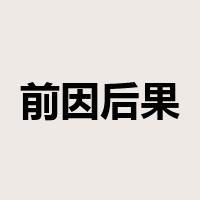 前因后果是什么意思