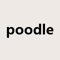 poodle是什么意思