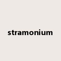 stramonium是什么意思