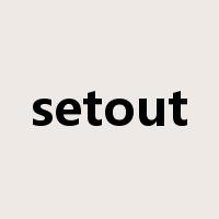 setout是什么意思