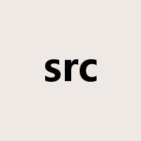 src是什么意思