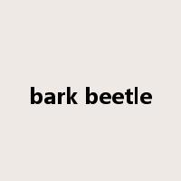bark beetle是什么意思