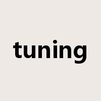 tuning是什么意思