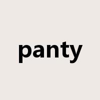 panty是什么意思