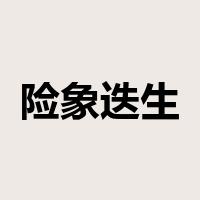 险象迭生是什么意思