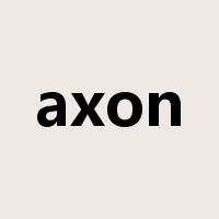 axon是什么意思