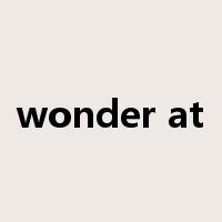 wonder at是什么意思