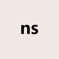 ns是什么意思