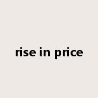 rise in price是什么意思
