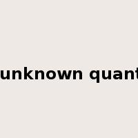 an unknown quantity是什么意思