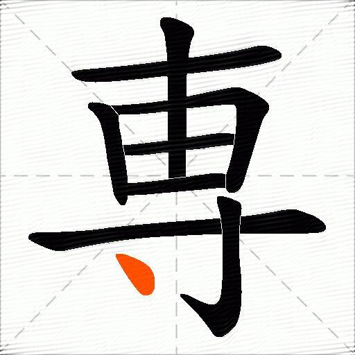 専
