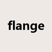 flange是什么意思