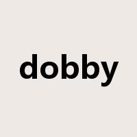 dobby是什么意思