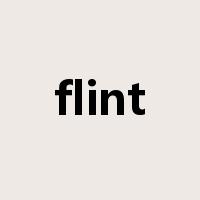 flint是什么意思
