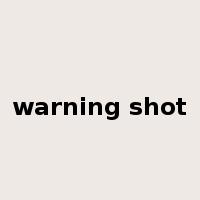 warning shot是什么意思