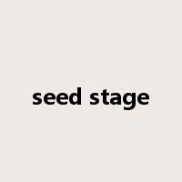 seed stage是什么意思