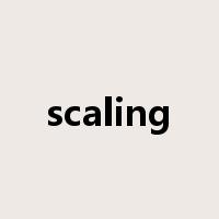 scaling是什么意思