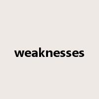 weaknesses是什么意思