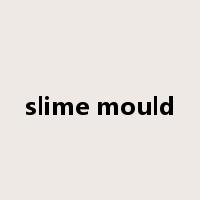 slime mould是什么意思