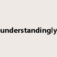 understandingly是什么意思