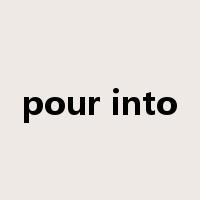 pour into是什么意思