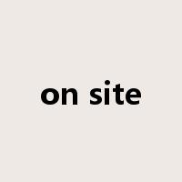 on site是什么意思