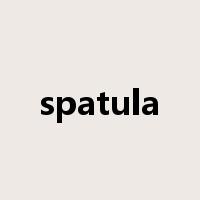 spatula是什么意思