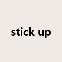 stick up是什么意思
