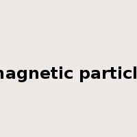 magnetic particle是什么意思