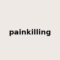 painkilling是什么意思
