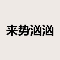 来势汹汹是什么意思