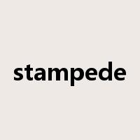 stampede是什么意思