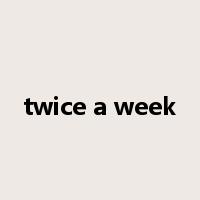 twice a week是什么意思