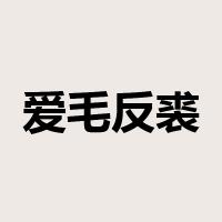 爱毛反裘是什么意思