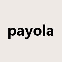 payola是什么意思