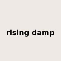 rising damp是什么意思