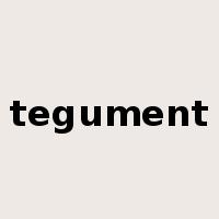 tegument是什么意思