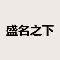 盛名之下，其实难副是什么意思