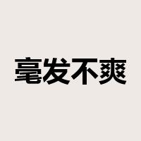 毫发不爽是什么意思