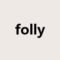 folly是什么意思