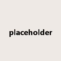 placeholder是什么意思