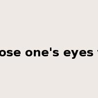 close one's eyes to是什么意思