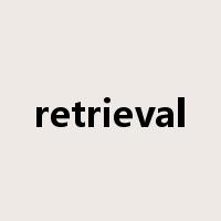 retrieval是什么意思