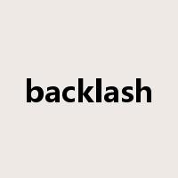 backlash是什么意思