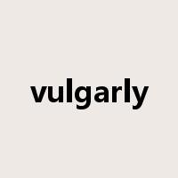 vulgarly是什么意思