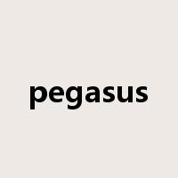 pegasus是什么意思
