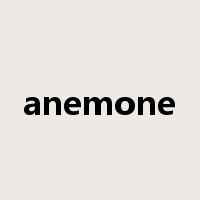 anemone是什么意思